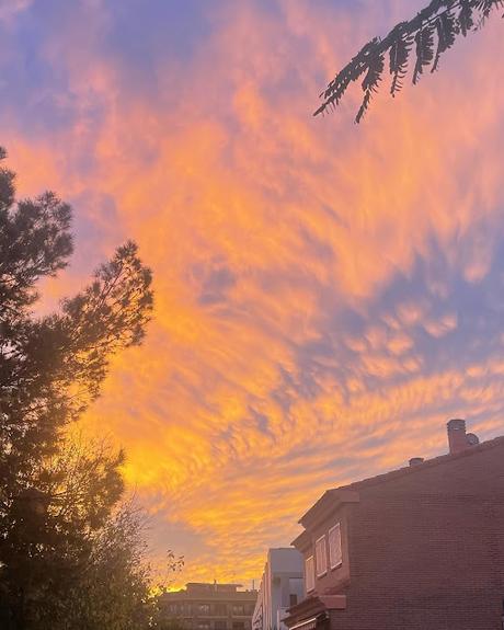 🪢 Enerizando 🪢 🪢 Enerizando 🪢