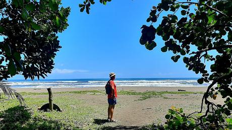 COSTA RICA: EL PARQUE NACIONAL DE TORTUGUERO