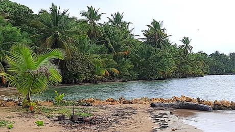 PANAMÁ :   LA PLAYA DE LA ESTRELLA Y LOS DIABLOS DE CARNAVAL EN BOCAS TOWN