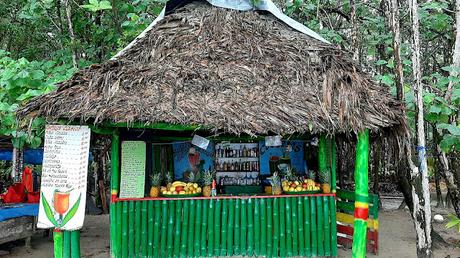 PANAMÁ :   LA PLAYA DE LA ESTRELLA Y LOS DIABLOS DE CARNAVAL EN BOCAS TOWN