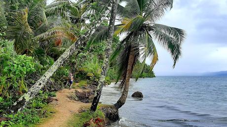 PANAMÁ :   LA PLAYA DE LA ESTRELLA Y LOS DIABLOS DE CARNAVAL EN BOCAS TOWN