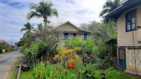PANAMÁ :   LA PLAYA DE LA ESTRELLA Y LOS DIABLOS DE CARNAVAL EN BOCAS TOWN