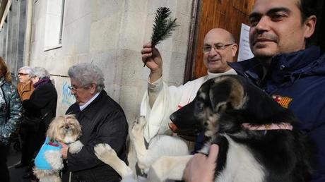 Bendición de animales y desfile de Tres Tombs en las fiestas de Sant Antoni
