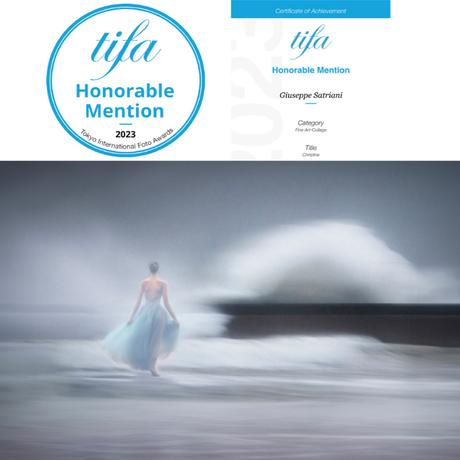 Honorable al Tokyo International Foto Award