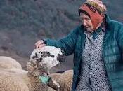 Marina Vilalta, pastora años entre ovejas.