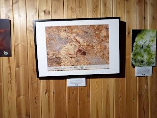 Estuvimos en la Gala de BioFoto en Santiago de la Espada