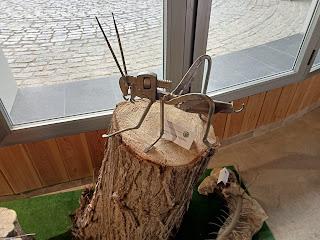 Estuvimos en la Gala de BioFoto en Santiago de la Espada