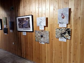 Estuvimos en la Gala de BioFoto en Santiago de la Espada