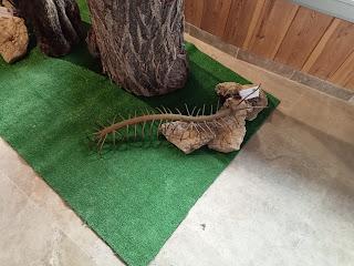 Estuvimos en la Gala de BioFoto en Santiago de la Espada