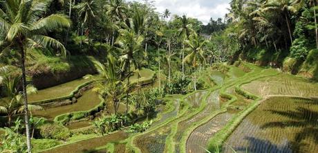 Viajar a Bali con Evaneos Viajar a Bali con Evaneos