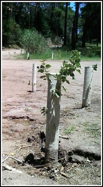 Esas raras palabras nuevas