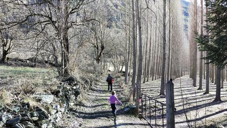 Ruta circular de Ribera de Cardós a Cassibrós Ruta circular de Ribera de Cardós a Cassibrós