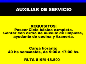 Auxiliar servicio