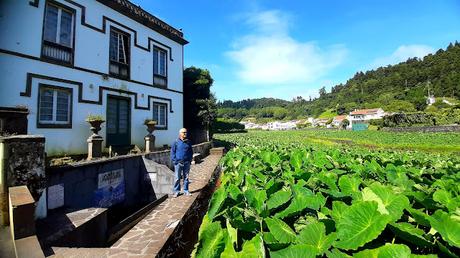 AZORES:  FURNAS Y LOS BAÑOS TERMALES EN ILHA SAO MIGUEL