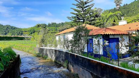 AZORES:  FURNAS Y LOS BAÑOS TERMALES EN ILHA SAO MIGUEL