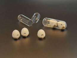 La Insulina oral incluida en nanoportadores mejora la diabetes La Insulina oral incluida en nanoportadores mejora la diabetes