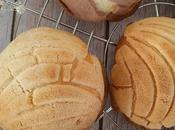 Conchas mexicanas