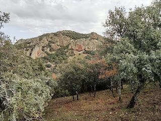 Conservación del patrimonio histórico: la Cueva de los Muñecos
