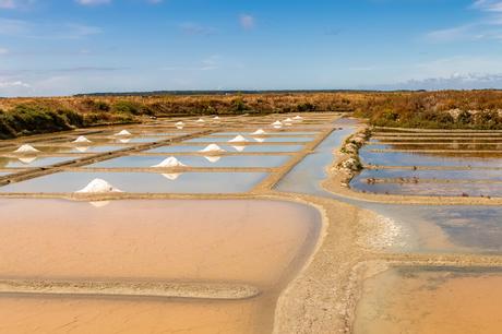 Las mejores cosas para hacer en Países del Loira, Francia