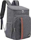 YDFYX Mochila Nevera Isotermica Grande, Bolsa de Picnic Termica Impermeable, a Prueba de Fugas, para La Playa, Almuerzo, Barbacoa (A. Clásico - Gris)