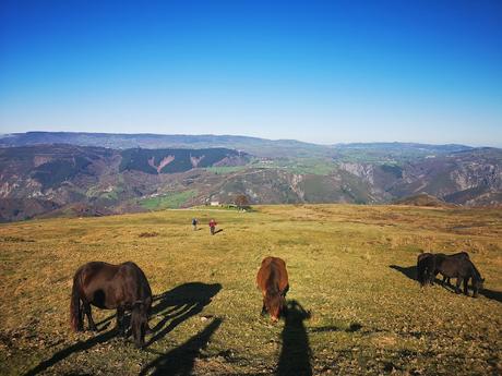 Dolmen de Merillés desde Tuña