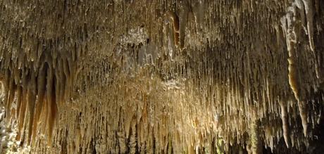 Actividades indispensables que hacer en Mallorca Actividades indispensables que hacer en Mallorca