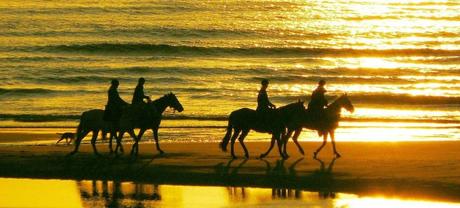 Actividades indispensables que hacer en Mallorca Actividades indispensables que hacer en Mallorca