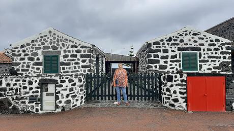 AZORES: LOS VIÑEDOS DE LA ISLA DE PICO AZORES: LOS VIÑEDOS DE LA ISLA DE PICO