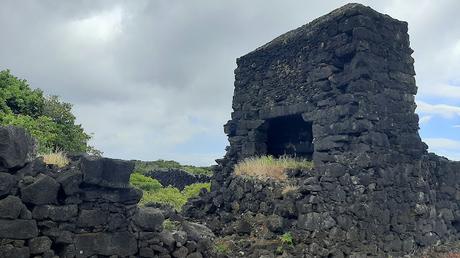 AZORES: LOS VIÑEDOS DE LA ISLA DE PICO AZORES: LOS VIÑEDOS DE LA ISLA DE PICO