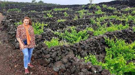 AZORES: LOS VIÑEDOS DE LA ISLA DE PICO AZORES: LOS VIÑEDOS DE LA ISLA DE PICO