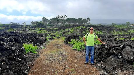 AZORES: LOS VIÑEDOS DE LA ISLA DE PICO AZORES: LOS VIÑEDOS DE LA ISLA DE PICO