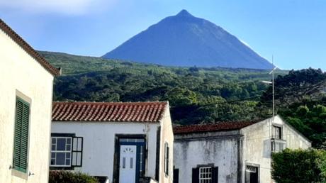 AZORES: LOS VIÑEDOS DE LA ISLA DE PICO AZORES: LOS VIÑEDOS DE LA ISLA DE PICO