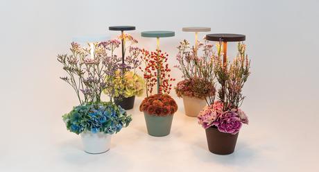 Nuevas tendencias en iluminación: Artemide, iGuzzini, Nemo, Marset, Nexia y Zafferano presentan lo último de 2024 Nuevas tendencias en iluminación: Artemide, iGuzzini, Nemo, Marset, Nexia y Zafferano presentan lo último de 2024