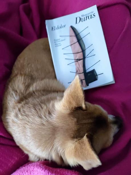 NO ES LO MISMO ACOSTUMBRARSE AL MIEDO A LA MUERTE QUE A LA IDEA DE LA MUERTE