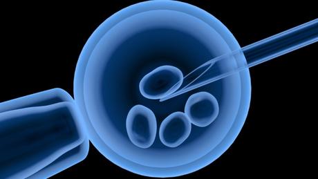 Congelar óvulos: todo lo que debes saber sobre este procedimiento Congelar óvulos: todo lo que debes saber sobre este procedimiento