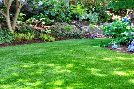 Gramigreen produce césped para jardines de bajo coste Gramigreen produce césped para jardines de bajo coste