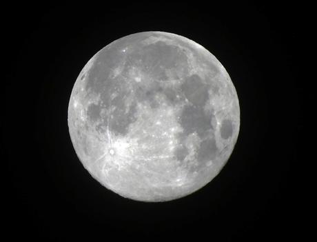 La Luna del Lobo. La Luna del Lobo.