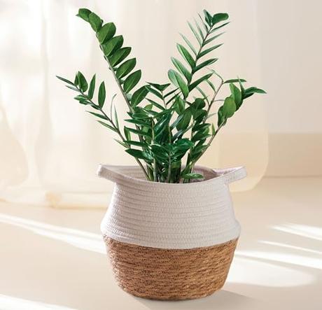 Maceta Mimbre de Algas Marinas Sostenibles & Algodón - Macetero Mediano - para Plantas & como Cesto Decorativo Interior para Almacenamiento - Blanco