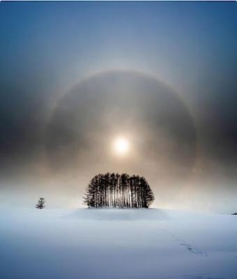 Las estrellas del deporte español, compradas por los petrodólares de Arabia Saudí.