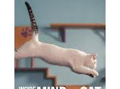 Cinecritica: Mente Gato