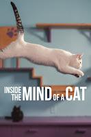 Cinecritica: En la Mente de un Gato