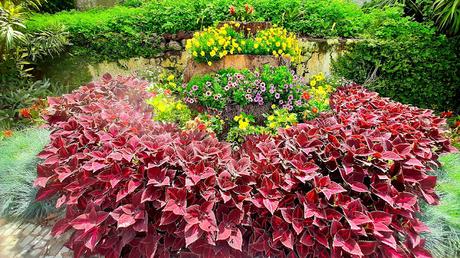 AZORES: ANGRA DO HEROÍSMO EN ISLA TERCEIRA