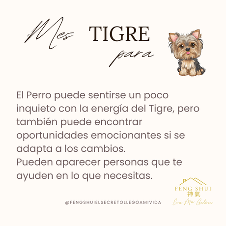 Horóscopo chino mes del Tigre para el Mono, Gallo, Perro y Cerdo