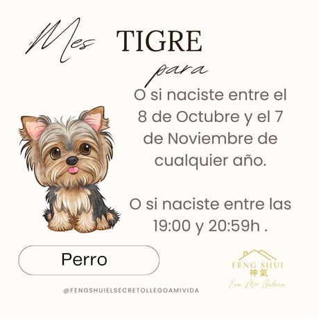 Horóscopo chino mes del Tigre para el Mono, Gallo, Perro y Cerdo