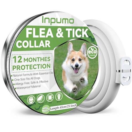 Collar Antiparasitario Perros, Seguro y Eficaz Antipulgas Hecho de Aceites Esenciales 100%, de 12 Meses de Natural Collares Adesparasitante Perros Impermeables Ajustables (1pcs)