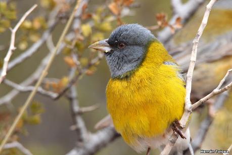 Gran viaje de primavera 2023 (3° parte)