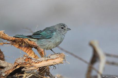 Gran viaje de primavera 2023 (3° parte)