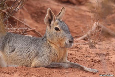 Gran viaje de primavera 2023 (3° parte)