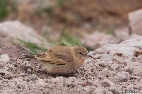 Gran viaje de primavera 2023 (3° parte)