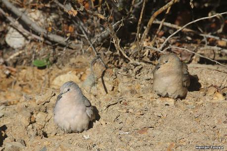 Gran viaje de primavera 2023 (3° parte)